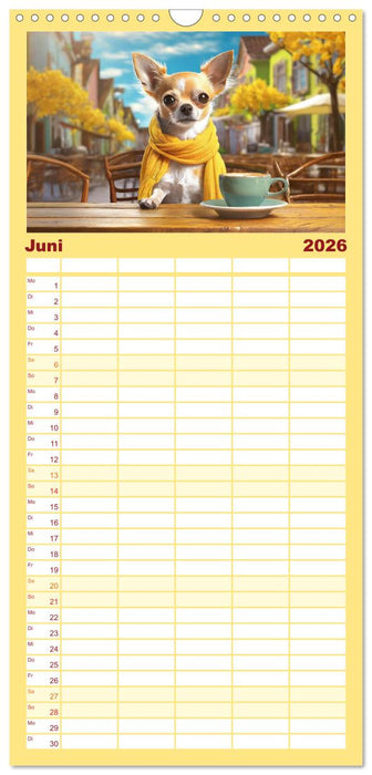 Chillige Chihuahuas - Entspannte Fellnasen genießen das Leben (CALVENDO Familienplaner 2026)