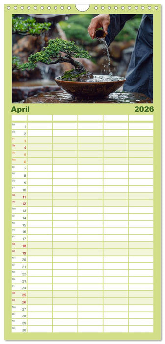 Bonsai meditativ (CALVENDO Familienplaner 2026)