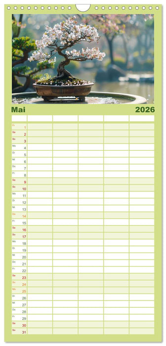 Bonsai meditativ (CALVENDO Familienplaner 2026)