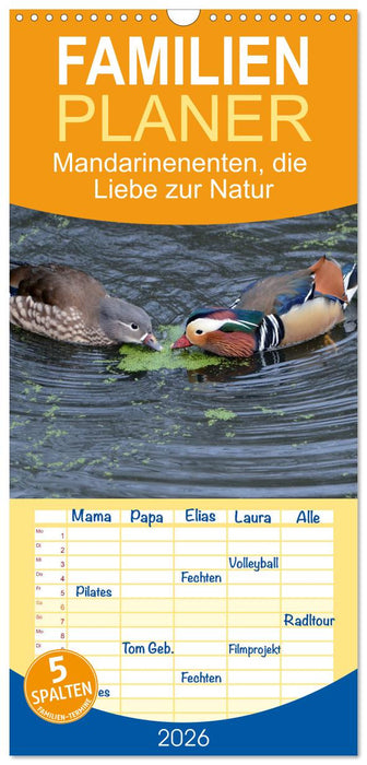 Mandarinenenten, die Liebe zur Natur (CALVENDO Familienplaner 2026)
