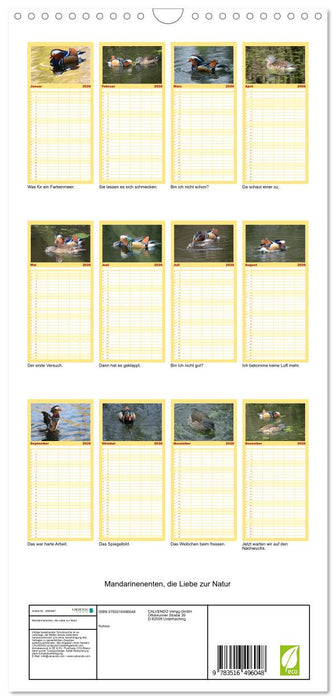 Mandarinenenten, die Liebe zur Natur (CALVENDO Familienplaner 2026)