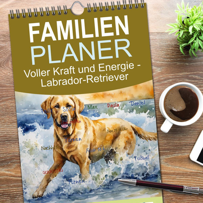 Voller Kraft und Energie - Labrador-Retriever (CALVENDO Familienplaner 2026)