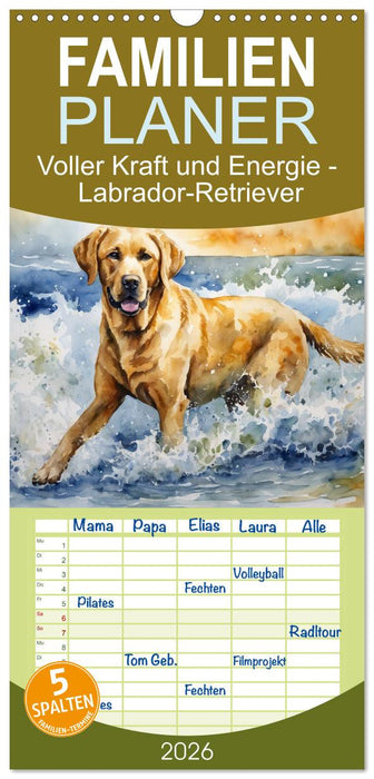 Voller Kraft und Energie - Labrador-Retriever (CALVENDO Familienplaner 2026)