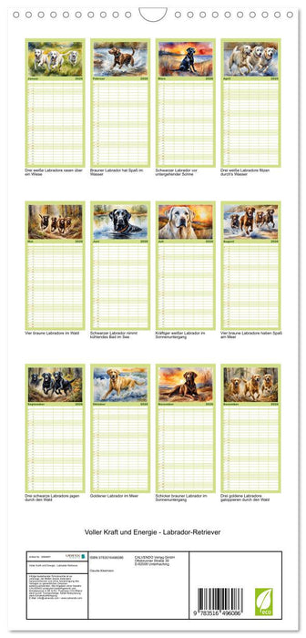 Voller Kraft und Energie - Labrador-Retriever (CALVENDO Familienplaner 2026)