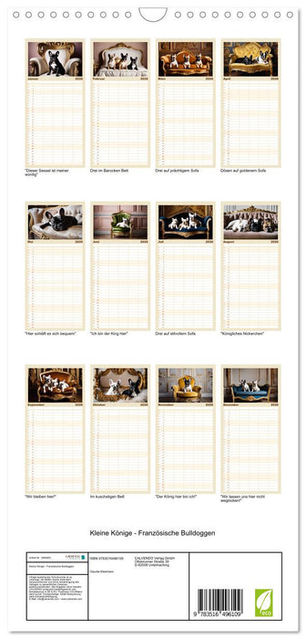 Kleine Könige - Französische Bulldoggen (CALVENDO Familienplaner 2026)