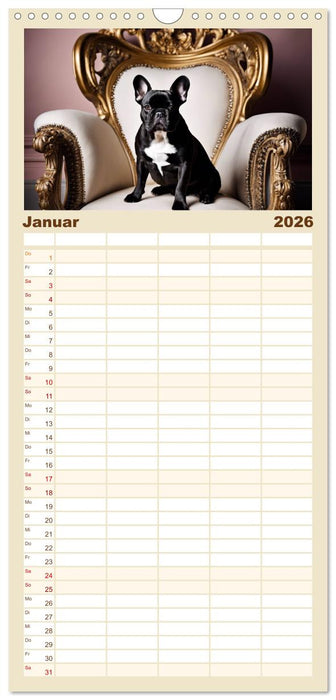 Kleine Könige - Französische Bulldoggen (CALVENDO Familienplaner 2026)