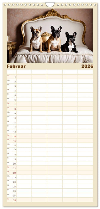 Kleine Könige - Französische Bulldoggen (CALVENDO Familienplaner 2026)