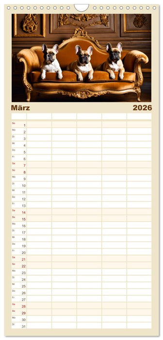 Kleine Könige - Französische Bulldoggen (CALVENDO Familienplaner 2026)