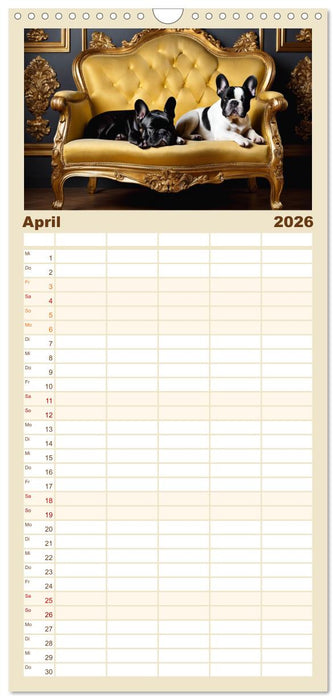 Kleine Könige - Französische Bulldoggen (CALVENDO Familienplaner 2026)