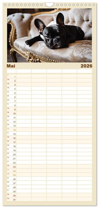 Kleine Könige - Französische Bulldoggen (CALVENDO Familienplaner 2026)