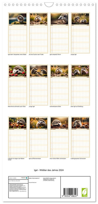 Igel - Wildtier des Jahres 2024 (CALVENDO Familienplaner 2026)