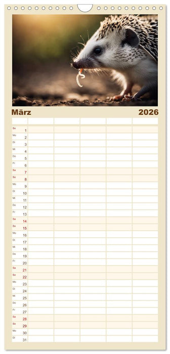 Igel - Wildtier des Jahres 2024 (CALVENDO Familienplaner 2026)