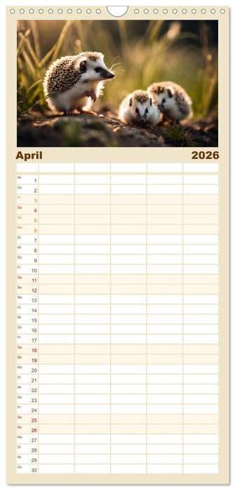 Igel - Wildtier des Jahres 2024 (CALVENDO Familienplaner 2026)