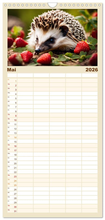 Igel - Wildtier des Jahres 2024 (CALVENDO Familienplaner 2026)