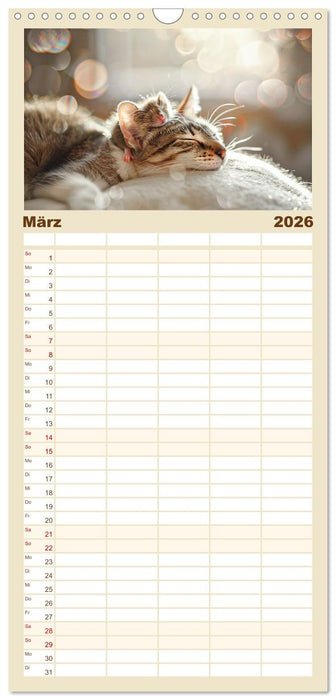 Einfach mal abhängen (CALVENDO Familienplaner 2026)