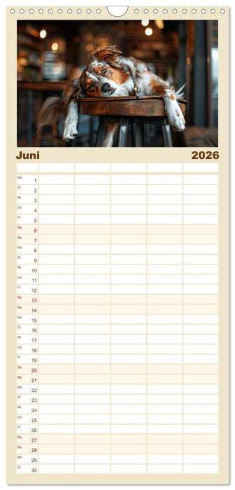 Einfach mal abhängen (CALVENDO Familienplaner 2026)