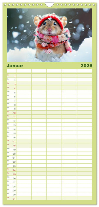 Die trendigsten Mäuse. Mode-Saison in der niedlichen Pelzchenwelt (CALVENDO Familienplaner 2026)