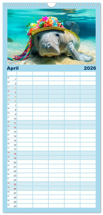 Modische Manatees. Charmante Seekühe mit Stil (CALVENDO Familienplaner 2026)