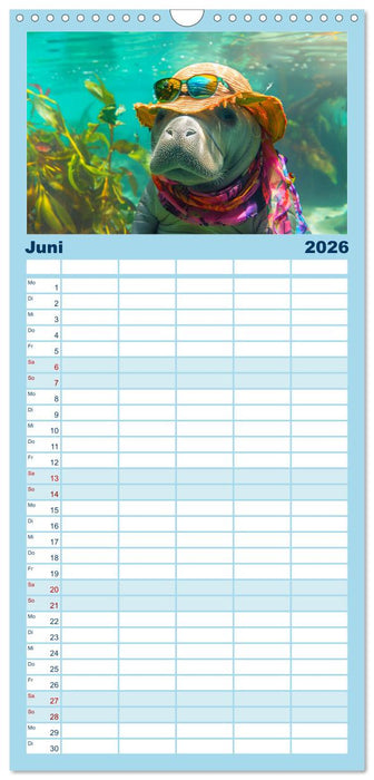 Modische Manatees. Charmante Seekühe mit Stil (CALVENDO Familienplaner 2026)