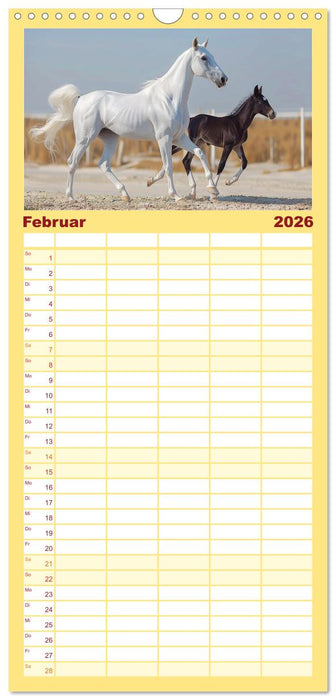 Bezaubernde Eleganz weißer Pferde (CALVENDO Familienplaner 2026)