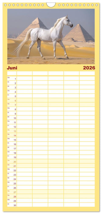 Bezaubernde Eleganz weißer Pferde (CALVENDO Familienplaner 2026)