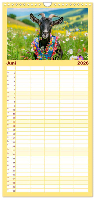Ziegen im Modezauber. Ein alpiner Fashion-Marathon (CALVENDO Familienplaner 2026)