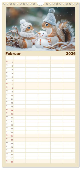 Lustige Eichhörnchen (CALVENDO Familienplaner 2026)