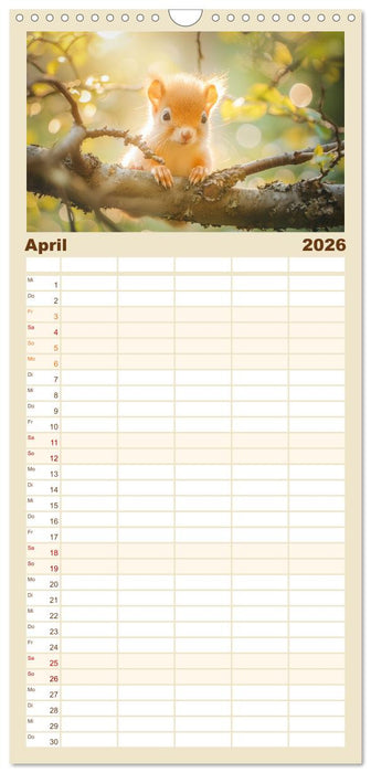 Lustige Eichhörnchen (CALVENDO Familienplaner 2026)