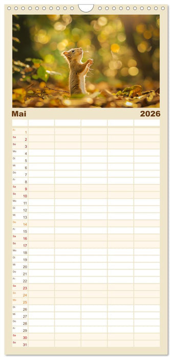 Lustige Eichhörnchen (CALVENDO Familienplaner 2026)