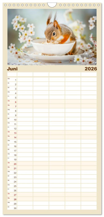 Lustige Eichhörnchen (CALVENDO Familienplaner 2026)