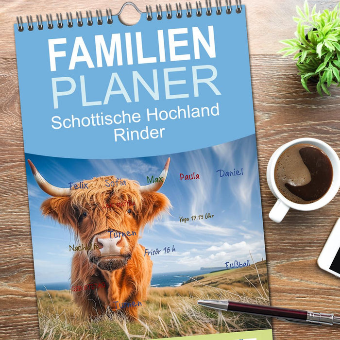 Schottische Hochland Rinder (CALVENDO Familienplaner 2026)