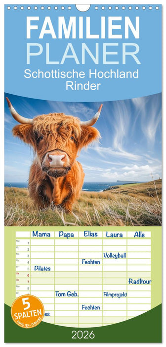 Schottische Hochland Rinder (CALVENDO Familienplaner 2026)