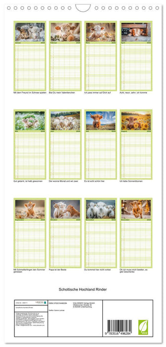 Schottische Hochland Rinder (CALVENDO Familienplaner 2026)