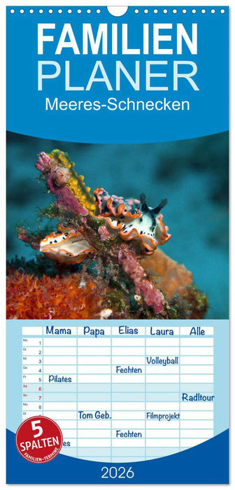 Meeres-Schnecken (CALVENDO Familienplaner 2026)
