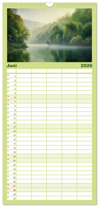 Träumereien in Grün (CALVENDO Familienplaner 2026)