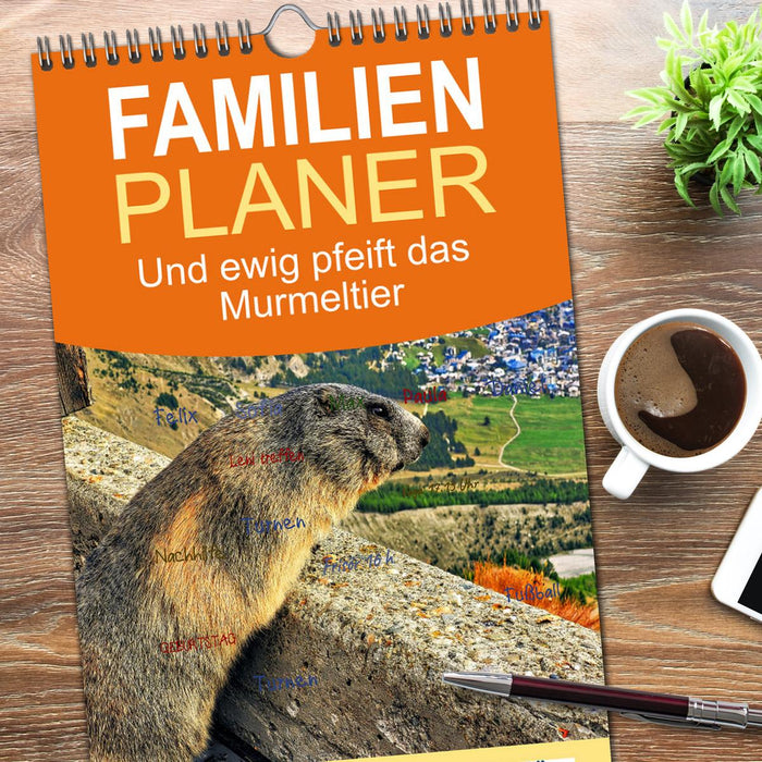 Und ewig pfeift das Murmeltier (CALVENDO Familienplaner 2026)