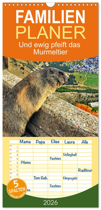 Und ewig pfeift das Murmeltier (CALVENDO Familienplaner 2026)