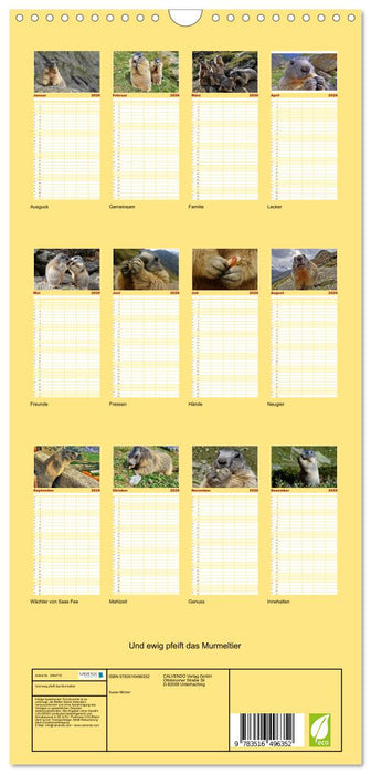 Und ewig pfeift das Murmeltier (CALVENDO Familienplaner 2026)