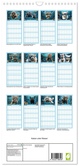 Katzen unter Wasser (CALVENDO Familienplaner 2026)