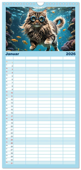 Katzen unter Wasser (CALVENDO Familienplaner 2026)