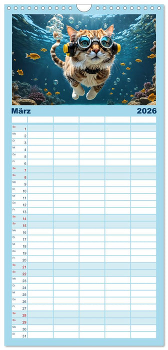 Katzen unter Wasser (CALVENDO Familienplaner 2026)