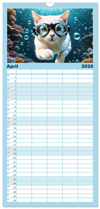 Katzen unter Wasser (CALVENDO Familienplaner 2026)