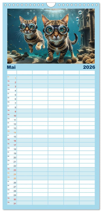Katzen unter Wasser (CALVENDO Familienplaner 2026)