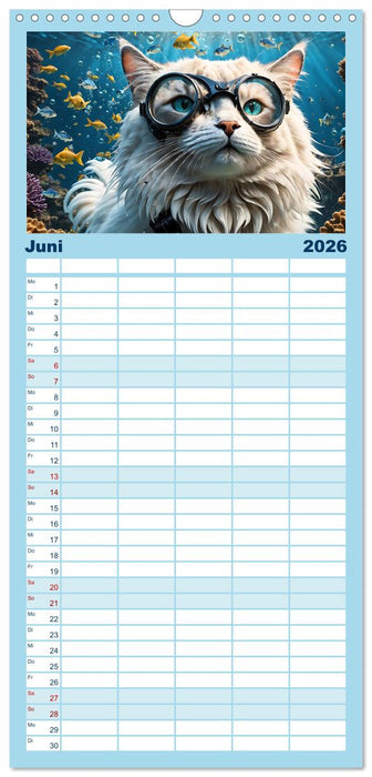 Katzen unter Wasser (CALVENDO Familienplaner 2026)