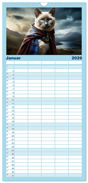 Schottische Katzenhelden (CALVENDO Familienplaner 2026)