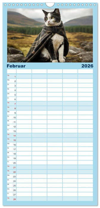 Schottische Katzenhelden (CALVENDO Familienplaner 2026)