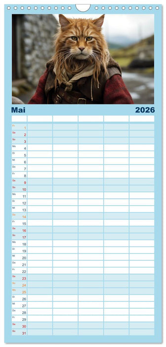 Schottische Katzenhelden (CALVENDO Familienplaner 2026)