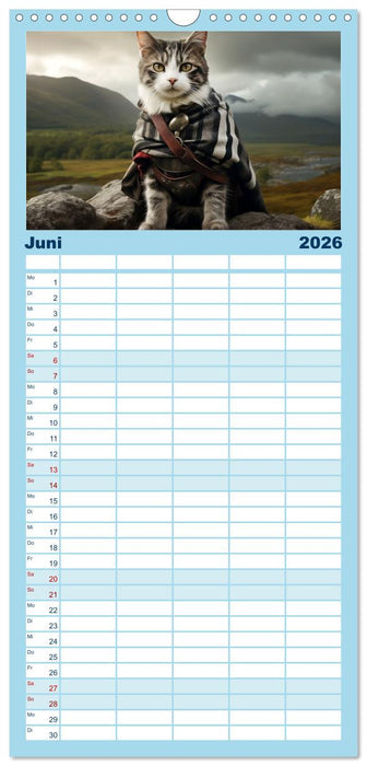 Schottische Katzenhelden (CALVENDO Familienplaner 2026)