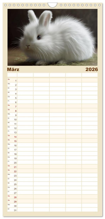 Zauberhafte Fluffies (CALVENDO Familienplaner 2026)