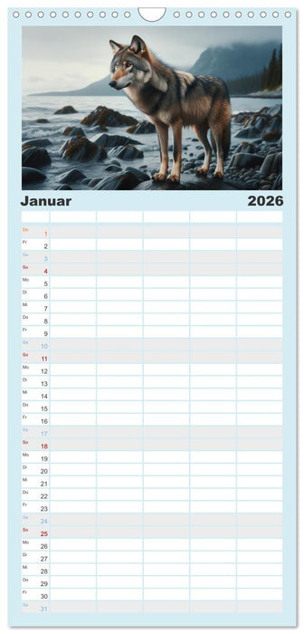 Kanadische Küstenwölfe (CALVENDO Familienplaner 2026)